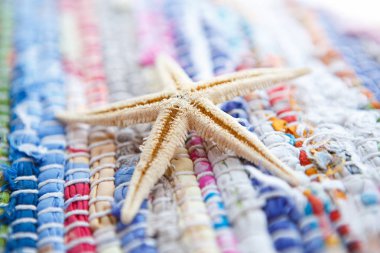  Sea Shell renkli kumaş üzerinde, yakın 