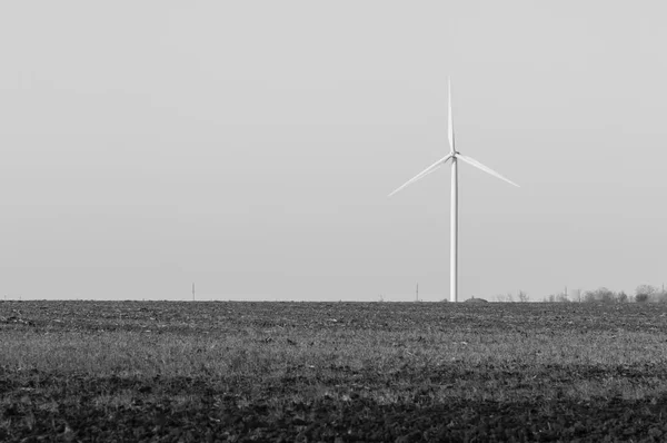 绿色能源的替代来源 风电箱或风电场 — 图库照片