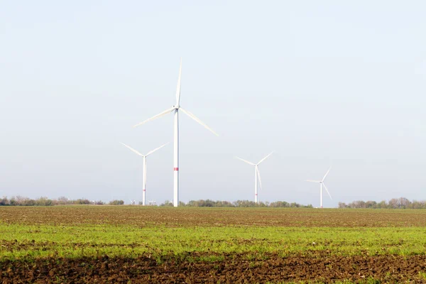 Alternatív Energiaforrások Zöld Szél Turbins Vagy Szélerőművek — Stock Fotó