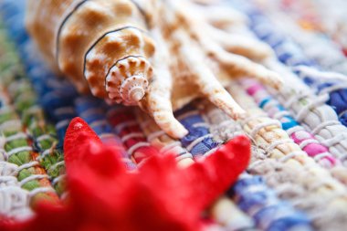 Tropikal plaj güzel deniz kabuklarını. Deniz yaşamını kapatın. Dekoratif mercan kabukları deniz tarafında toplanan. Dekoratif renkli kumaş üzerine kırmızı deniz yıldızı