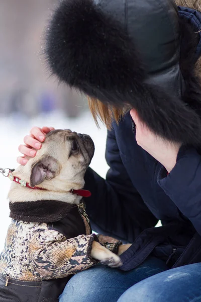 红头发的年轻女孩上雪在公园里 玩搞笑八哥幼犬 — 图库照片