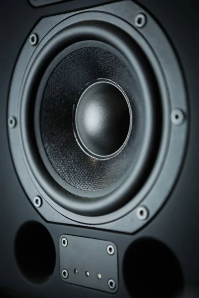 Professional loudspeaker diffusor close up.High quality sound recording studio technology.Analog Hifi audio equipment for professional use.Listen to music in hi-fi.Closeup on speaker box