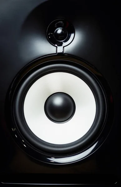 Professional loud speaker diffusor close up.