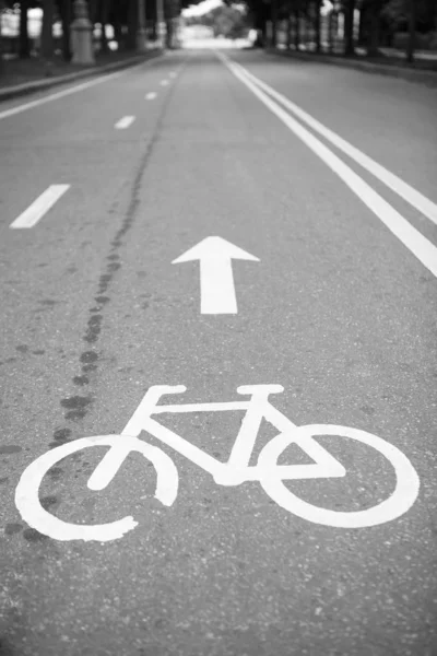 Велосипедная Дорожка Парке Велосипедный Символ Раскрашенный Асфальте Велодорожка Езды Экологическом — стоковое фото