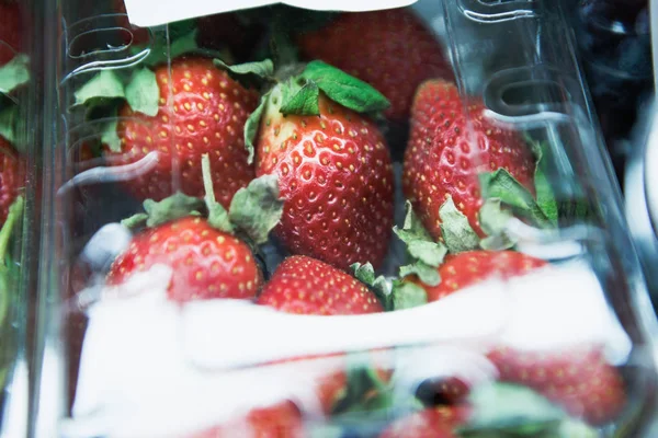 食品店で販売されているプラスチック容器に新鮮熟した赤いイチゴベリー 天然ビタミン食品 健康に良い食生活 栄養成分 — ストック写真