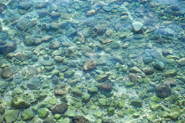 Красива Смарагдово Зелена Морська Вода Адріатики Кротія Прозора Вода Видимим — стокове фото