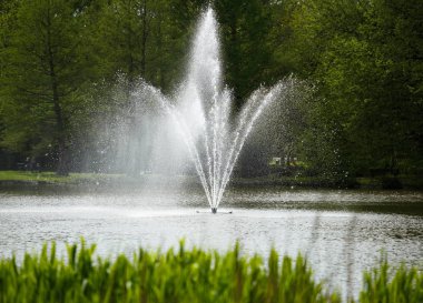 Hollanda, Amsterdam 'daki Yeşil Park' ta Çeşme 