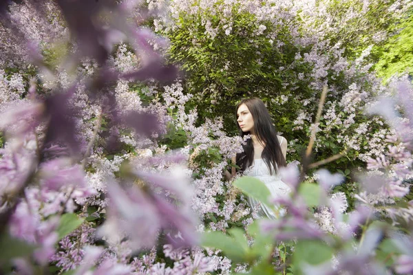 Jeune Jolie Fille Brune Dans Jardin Avec Des Fleurs Lilas — Photo