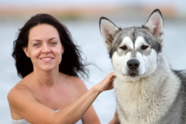Junge Erwachsene Frau Mit Ihrem Lieblingstier Alaskan Malamute Dog Strand — Stockfoto
