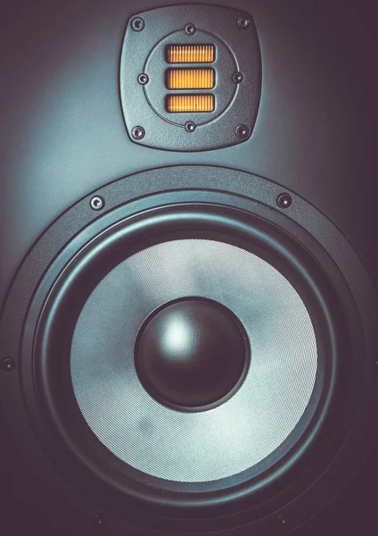 Hifi sound monitor for mixing & recording studio.Professional audio equipment setup for disc jockey,musician.Dynamic speaker box for studio work.Closeup shot,focus on diffusor & tweeter