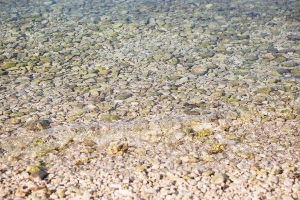 Прозорі Морською Водою Маленької Порід Ясно Пляжу Узбережжі Адріатичного Моря — стокове фото