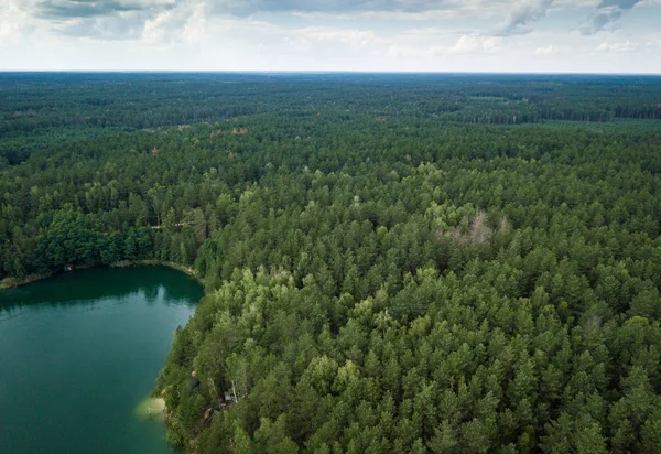 森で美しい湖 — ストック写真