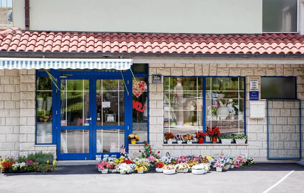 Makarska Kroatien Juni 2017 Blumenladen Verkaufen Schöne Dekorative Blumen Kroatischen — Stockfoto