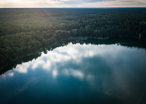 森で美しい湖 — ストック写真