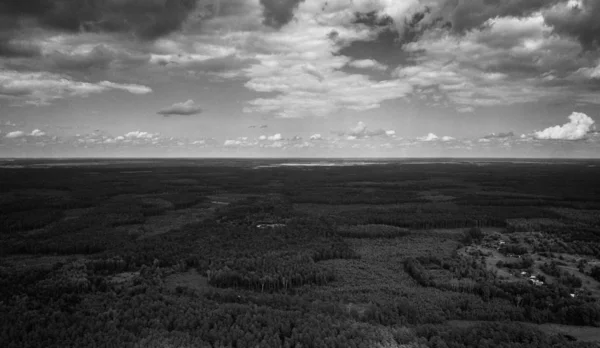 Nature Travel Beautiful Summer Forest Aerial View — Stock Photo, Image