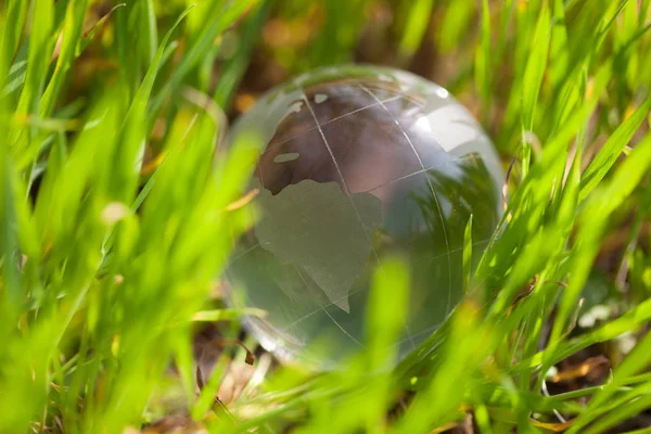 Glass globe model in green grass. Concept for environment care, green world. No models.