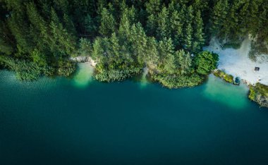 Orman güzel göl. Doğa, seyahat