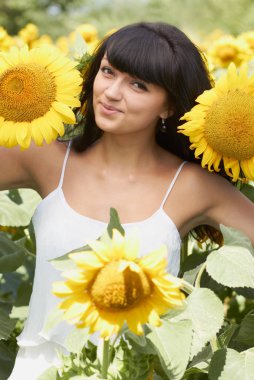 Ayçiçeği ve tatlı küçük Bayan sunshine