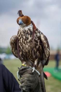 11 Mayıs 2018 - İstanbul, Türkiye: Turki Ülkeleri Festivali