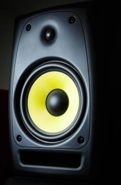 プロの録音スタジオ機器 音楽の録音のボーカル モニター スピーカー ボックス 黄色のシルク ディフューザー ツイーター スピーカーと高品質キャビネット モニター — ストック写真