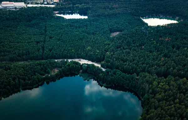 Doğa Seyahat Ormandaki Güzel Göl — Stok fotoğraf