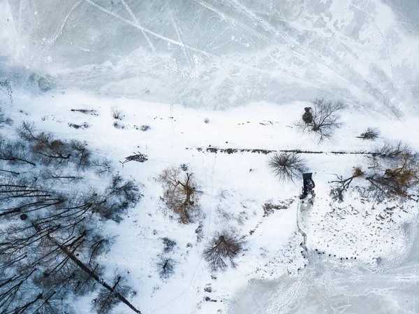Kiev Ukrayna Mart 2018 Hava Dron Fotoğraf Kiev Goloseevski Park — Stok fotoğraf
