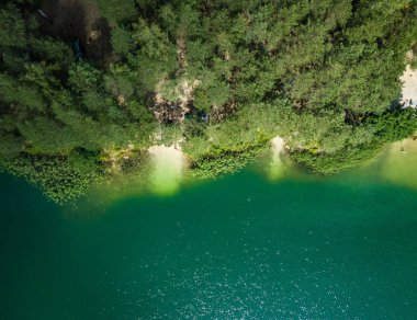 Orman güzel göl. Doğa, seyahat