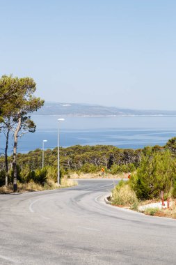 Dağ yolu, Hırvatistan 'da Adriyatik Denizi 'nin canlı mavi suyuyla plaja doğru gidiyor. plaj ve yeşil orman ile güzel Hırvat tatil