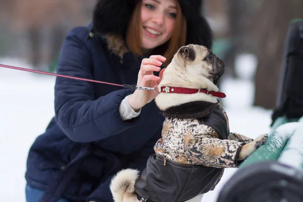 パグ面白い子犬公園に雪で遊んで赤い髪の十代の少女 — ストック写真
