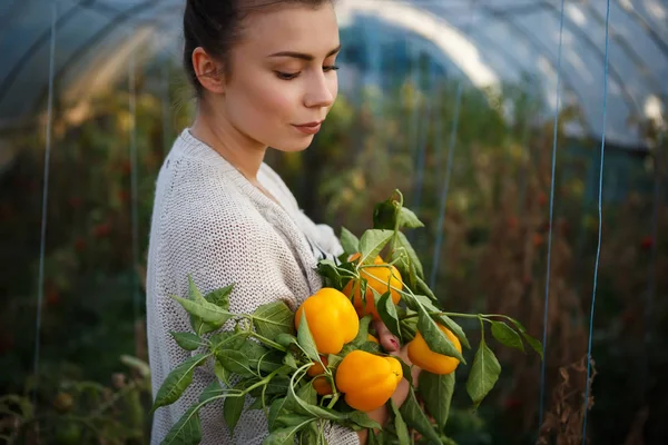 Jonge Boer Meisje Paprika Groenten Handen Houden Boer Vrouw Herfst — Stockfoto