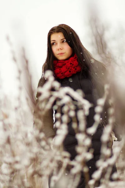 有吸引力的年轻女孩在一个明亮的雪天户外散步 — 图库照片