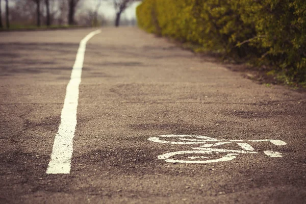 Отдельная Дорожка Езды Велосипеде Парке Белый Символ Велосипеда Прямая Линия — стоковое фото
