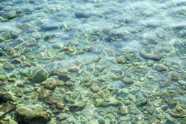 Schöne Adriatische Küste Kristallklares Wasser Zum Schnorcheln Tauchen Sommerurlaub Cruise — Stockfoto