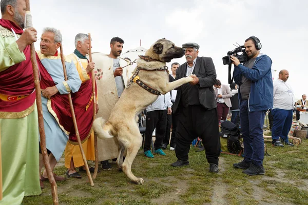 Mei 2018 Istanbul Turkije Festival Van Turkse Naties — Stockfoto