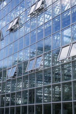 Moskova - 21 Temmuz, 2017: dış Bina Modern Botanik Bahçesi. Popüler turistik gezi Simgesel Yapı içinde farklı egzotik plats ile. Büyük botanik sera.