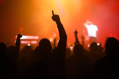 konser müzik fan dalga eller