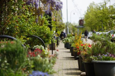 Hollanda, Amsterdam 'da şehir caddesi