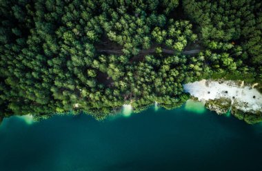 Doğa, seyahat. Ormandaki güzel göl. 