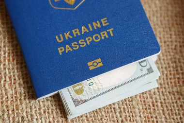 Elektronik çip kimliğine sahip yeni biyometrik Ukrayna pasaportu