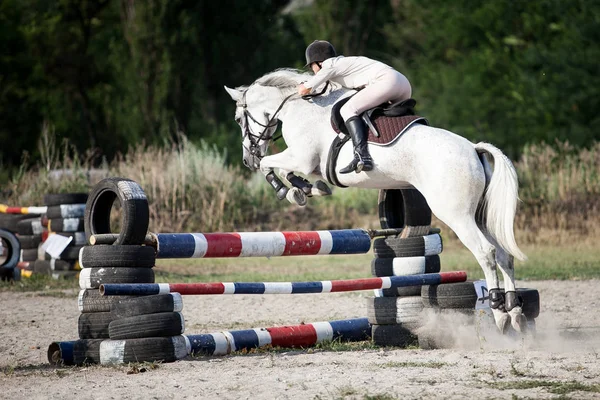 マリウポリ ウクライナ 2015 若い騎手の間で馬の乗馬コンテスト 乗馬の競争夏の屋外 — ストック写真