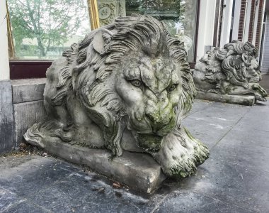 Lahey, Hollanda-25 Nisan 2018: Hollanda 'daki den Haag şehir caddesinde eski gri taş aslan heykeli.