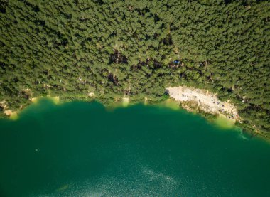 Orman güzel göl. Doğa, seyahat