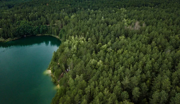 Vacker Sjö Skogen Naturen Färdas — Stockfoto