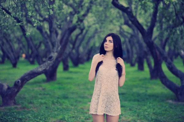 Beautiful Young Woman Short Dress Posing Green Park Grass Trees — Stock Photo, Image