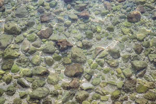 Rocky Нижній Частині Адріатичного Моря Кришталево Чистою Прозорою Водою — стокове фото