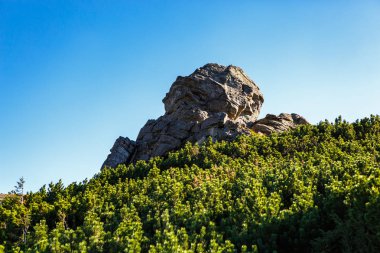 Dağ Park büyük kaya