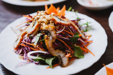 Doğal taze malzemelerle hazırlanan Vietnam renkli egzotik salata. Yılan balığı eti şeritler ve kesim kırmızı lahana beyaz tabak içinde Asya restoran servis. Çin Cafe menü öğesini kapatın