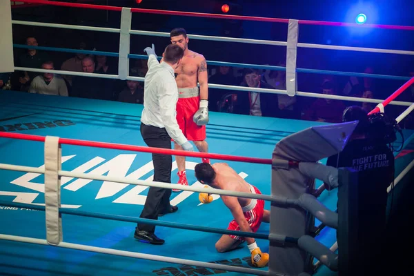 Mosca Marzo 2016 Professional Boxing Show Lotta Futuro Jheritz Chaves — Foto Stock
