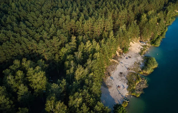 森林の美しい湖 — ストック写真