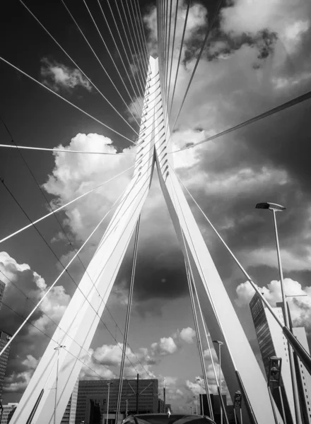 Puente Moderno Amsterdam Países Bajos —  Fotos de Stock